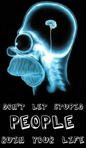 Don T Let Stupid People Ruin Your Life Darrell Creswell A Study Of Christian Grace