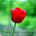 Grace perfect love Titus 2 11